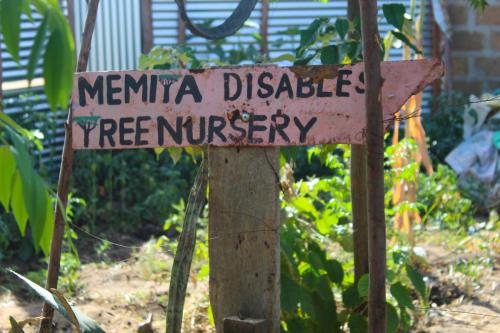 Memita Disables Tree Nursery and Creativity Centre